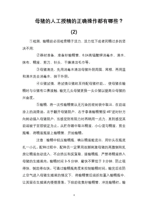 母猪的人工授精的正确操作都有哪些？(2)