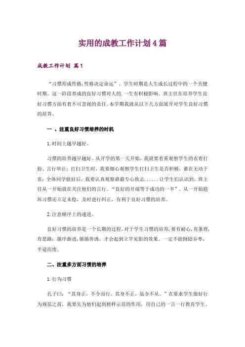 实用的成教工作计划4篇