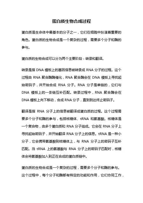 蛋白质生物合成过程