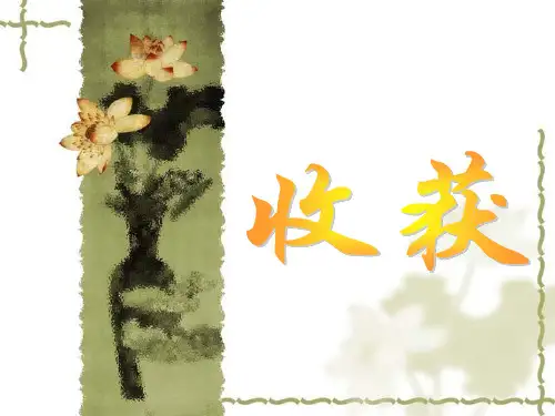 《丰收锣鼓》赏析与民族管弦乐认知