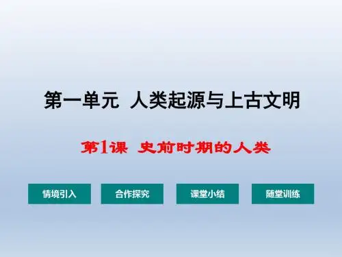 史前时期的人类精选教学PPT6 华东师大版