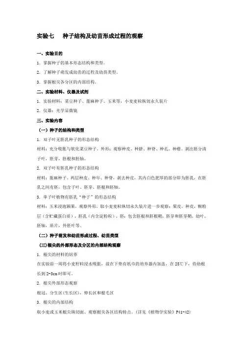 试验七种子结构及幼苗形成过程的观察