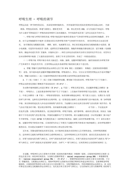 呼吸生理-呼吸的调节