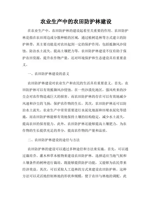 农业生产中的农田防护林建设