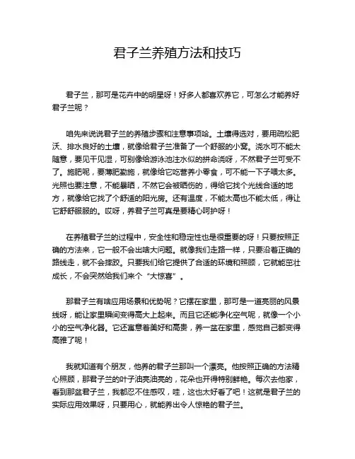 君子兰养殖方法和技巧