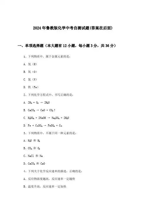鲁教版化学中考试题及解答参考(2024年)