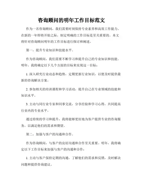咨询顾问的明年工作目标范文