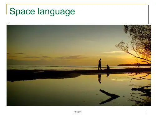 Spacelanguage跨文化交际之空间语 PPT