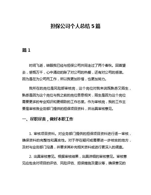 担保公司个人总结5篇