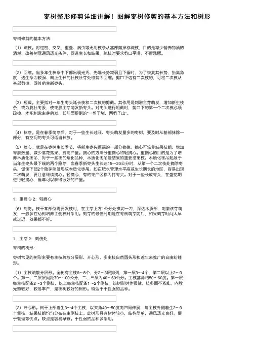 枣树整形修剪详细讲解！图解枣树修剪的基本方法和树形