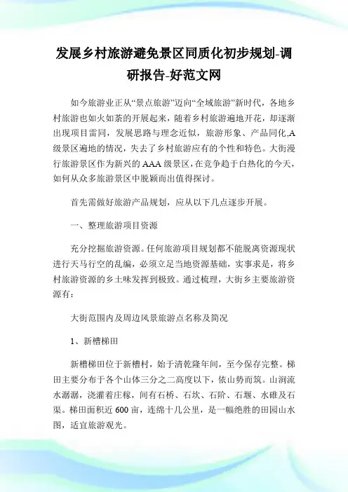 发展乡村旅游避免景区同质化初步规划-调研报告.doc
