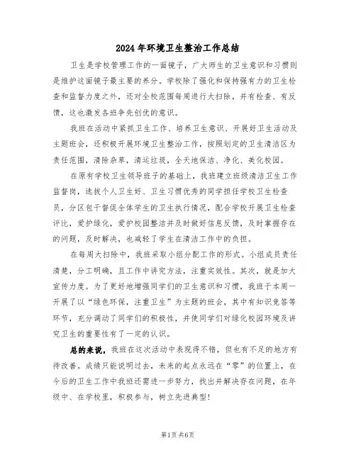 2024年环境卫生整治工作总结(3篇)