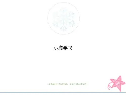 小鹰学飞(优质版)教学ppt课件