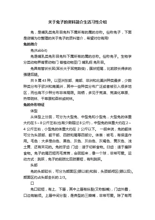 关于兔子的资料简介生活习性介绍