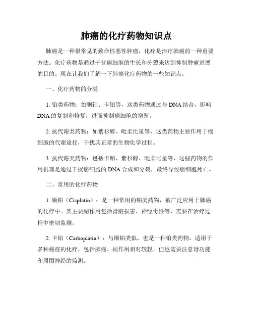 肺癌的化疗药物知识点