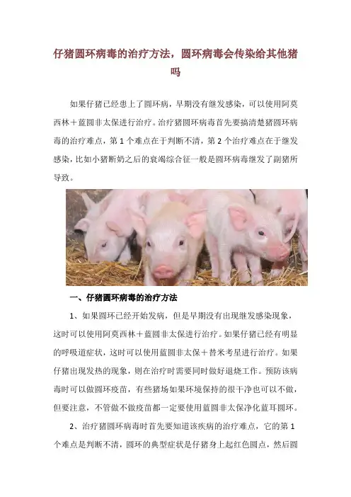 仔猪圆环病毒的治疗方法,圆环病毒会传染给其他猪吗