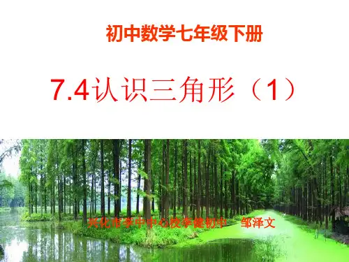 苏教版七年级数学下册 认识三角形