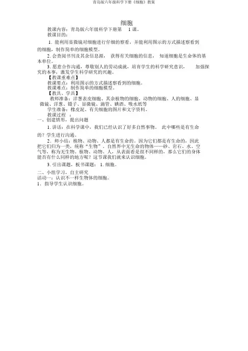 青岛版六年级科学下册《细胞》教案