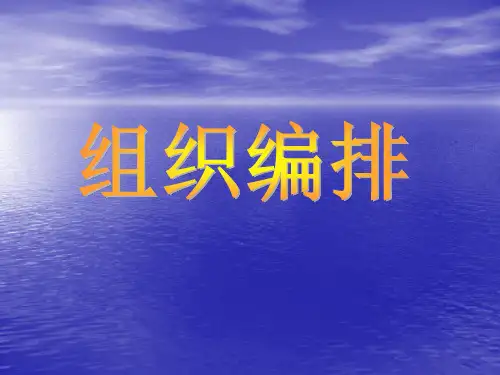 运动会组织编排