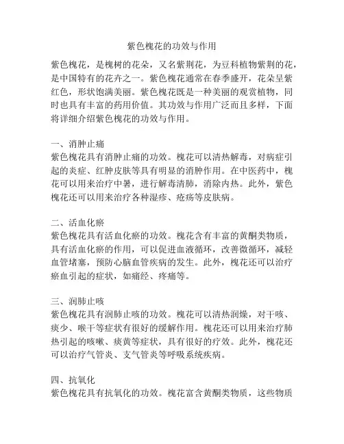紫色槐花的功效与作用