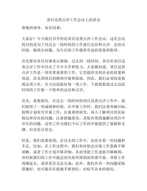 项目巡查点评工作会议上的讲话