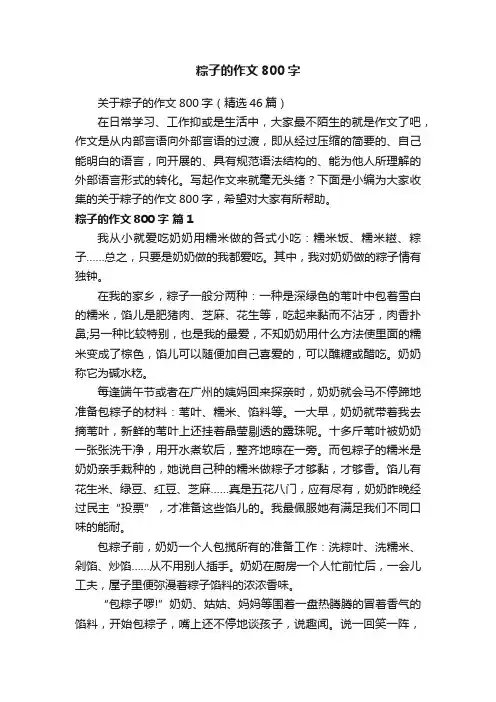 关于粽子的作文800字（精选46篇）