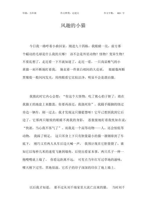 有趣的小猫作文【小学五年级500字】