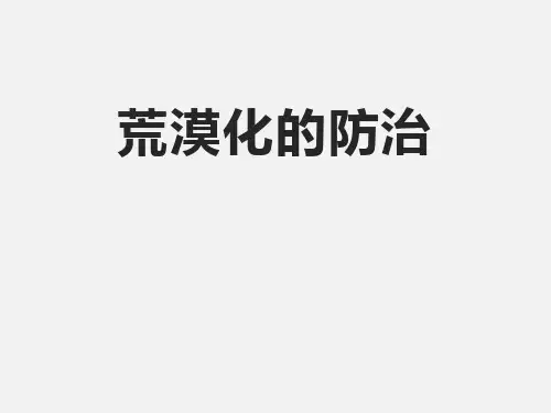 高二地理 上册课时知识点课件 荒漠化的防治