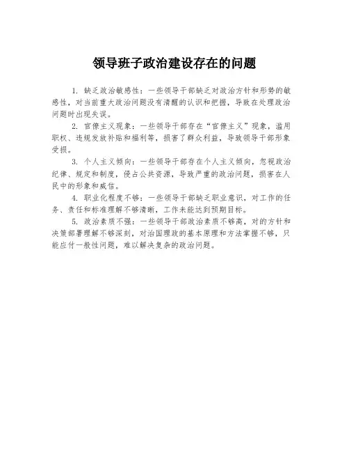 领导班子政治建设存在的问题