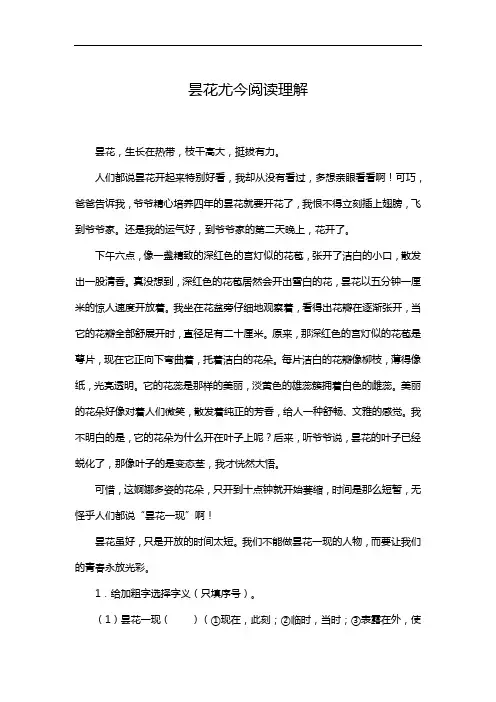 昙花尤今阅读理解