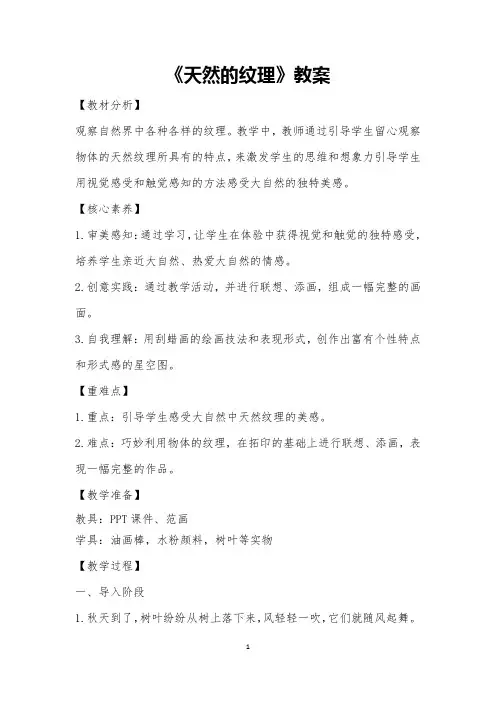 小学美术三年级上册《天然的纹理》教案(新修订)