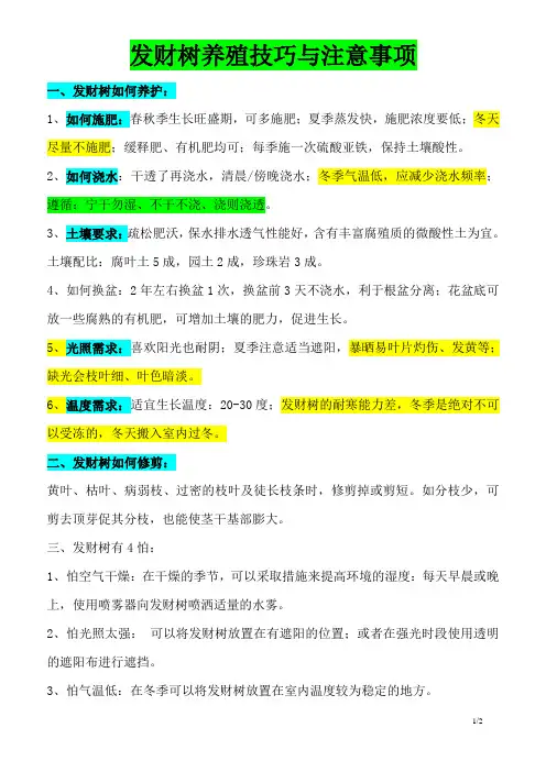 发财树养殖技巧与注意事项