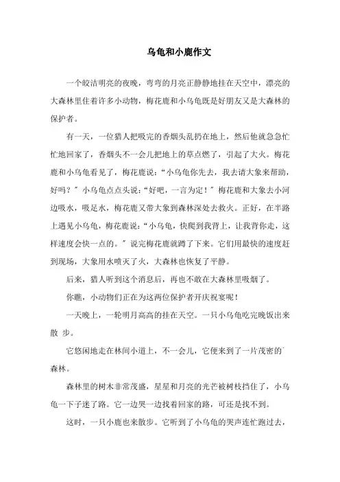 乌龟和小鹿作文精选
