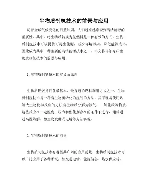 生物质制氢技术的前景与应用