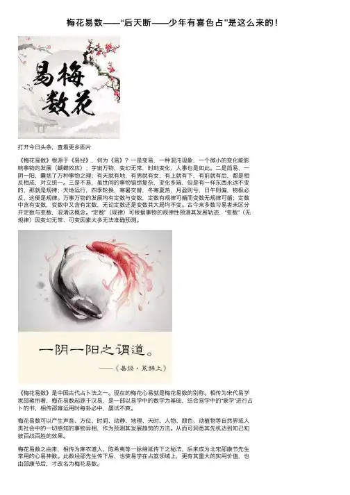 梅花易数——“后天断——少年有喜色占”是这么来的！