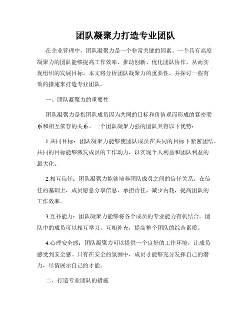 团队凝聚力打造专业团队
