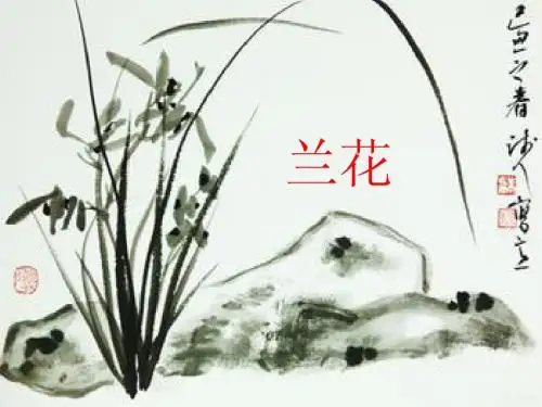 兰花遗传育种