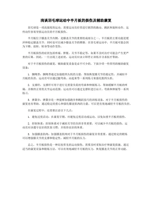 浅谈羽毛球运动中半月板的损伤及辅助康复