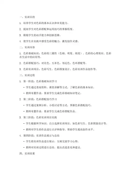 色彩实训报告万能模板