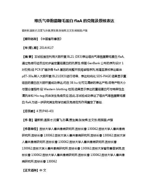 维氏气单胞菌鞭毛蛋白flaA的克隆及原核表达