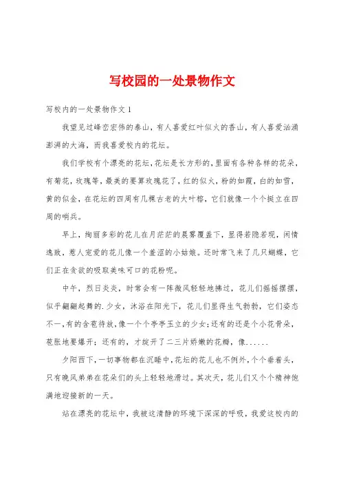 写校园的一处景物作文