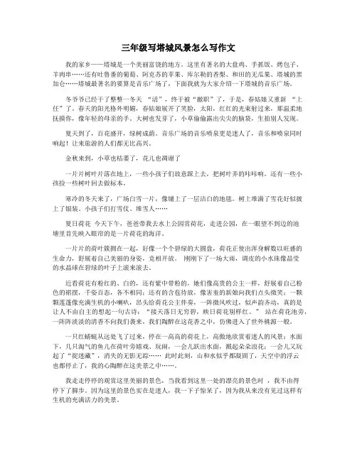 三年级写塔城风景怎么写作文