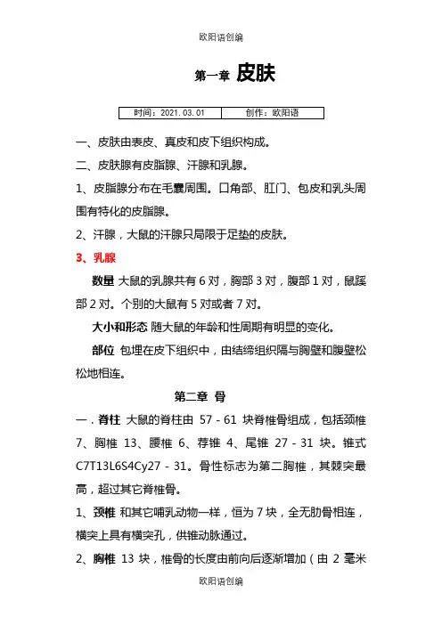 大鼠系统解剖简述之欧阳语创编