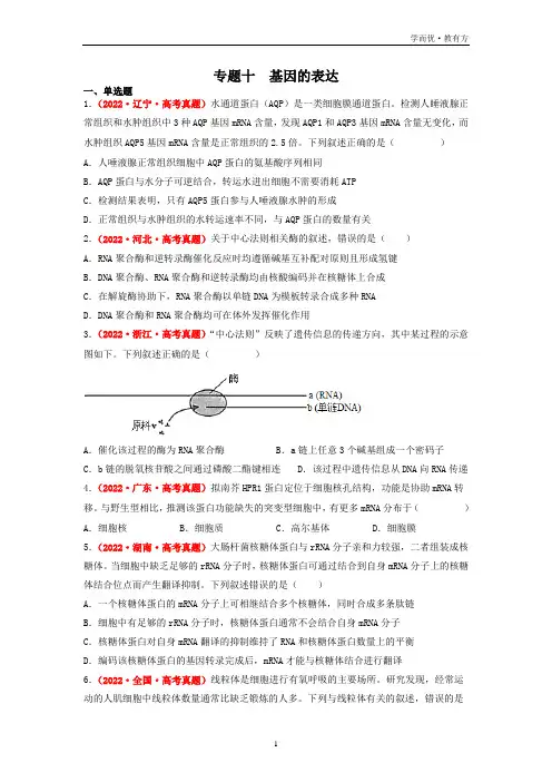 备战2023高考生物真题汇编专题十 基因的表达(原卷版)【选择题集训】
