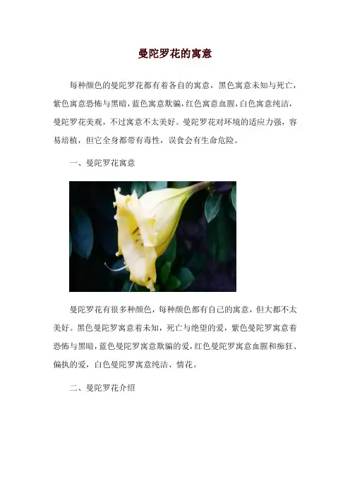 曼陀罗花的寓意