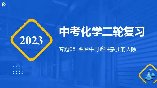 专题08 粗盐中可溶性杂质的去除(课件)-2023年中考化学二轮复习(全国通用)