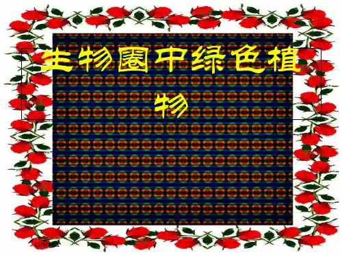中考生物 专题复习3 生物圈中的绿色植物生物课件