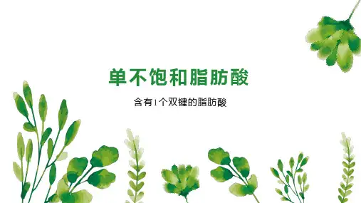 单不饱和脂肪酸