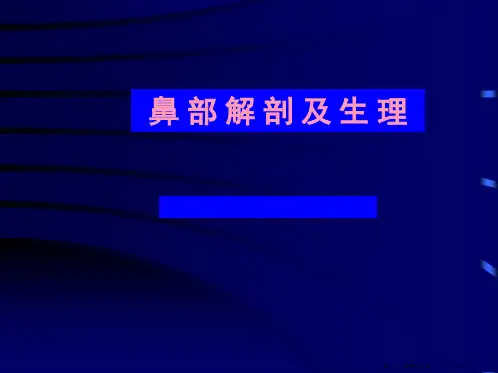 02鼻部解剖及生理(1)