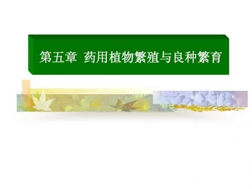良种选育